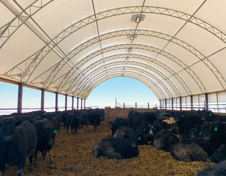 Freedom Buildings | Livestock Barns